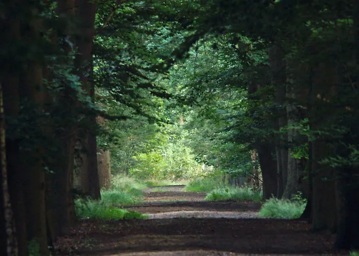 T Kaatsheuveltje 3 Kaatsheuvel