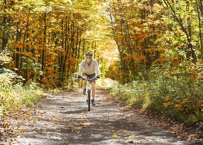 Vakantiehuis T Kaatsheuveltje 3 *