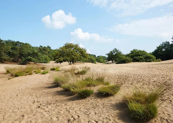 Vakantiehuis T Kaatsheuveltje 3 *