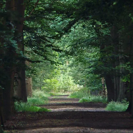 T Kaatsheuveltje 3 Каатсхойвел